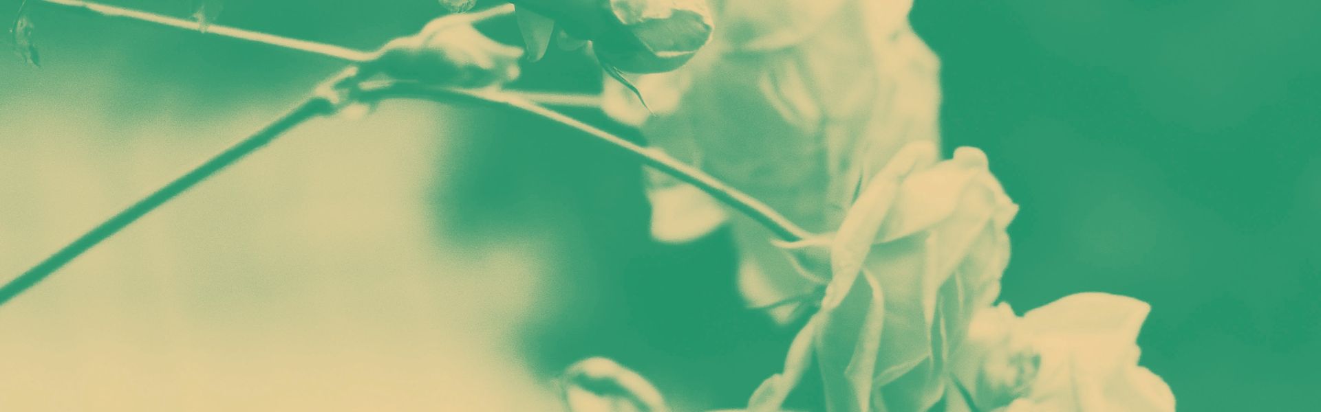 31.01.2021 - Sarah Wegener & Götz Payer